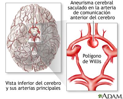 El páncreas medlineplus enciclopedia médica illustración
