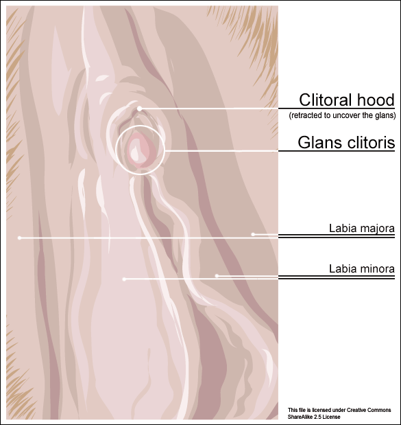 Long clitoris labia video