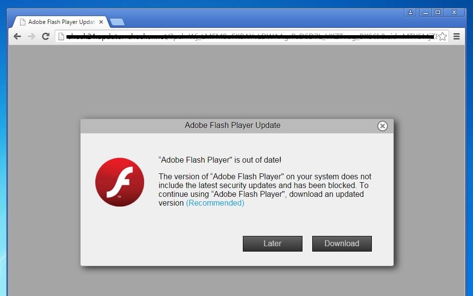 What does flash player do